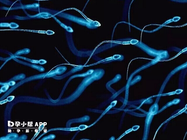 精子活力低只有10%能自然备孕生育吗？