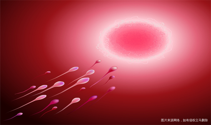 2025年中山大学附属第六医院能做第三代试管婴儿吗？ 