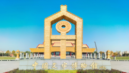 安阳 (安阳试管婴儿)