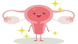 无子宫/石女是什么？对试管婴儿有什么影响？