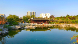 邓州试管婴儿医院排名与费用详情：成功率、医生、价格全解析